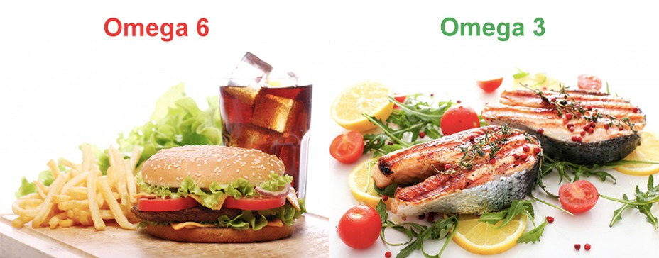 porovnanie fastfood a zdravá strava